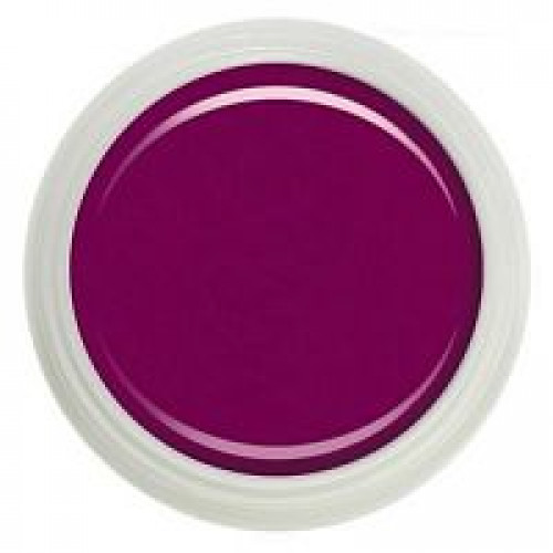 Гель-краска №015 "raspberry wine". 5 мл. FANTASY NAILS (2365)