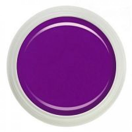Гель-краска №018 "summer violet". 5 мл. FANTASY NAILS (2396)