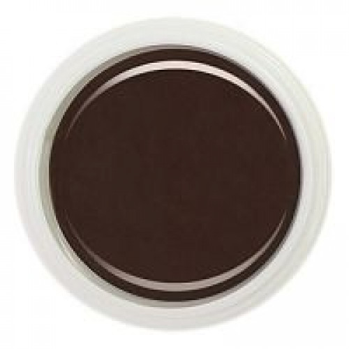 Гель-краска №004 "hot chocolate". 5 мл. FANTASY NAILS (2259) Гель-краска №004 "hot chocolate". 5 мл. FANTASY NAILS (2259)