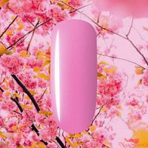 Гель-лак, трехфазный, "Цветы вишни" 8 мл. Коллекция "Времена года". Patrisa Nail 3677